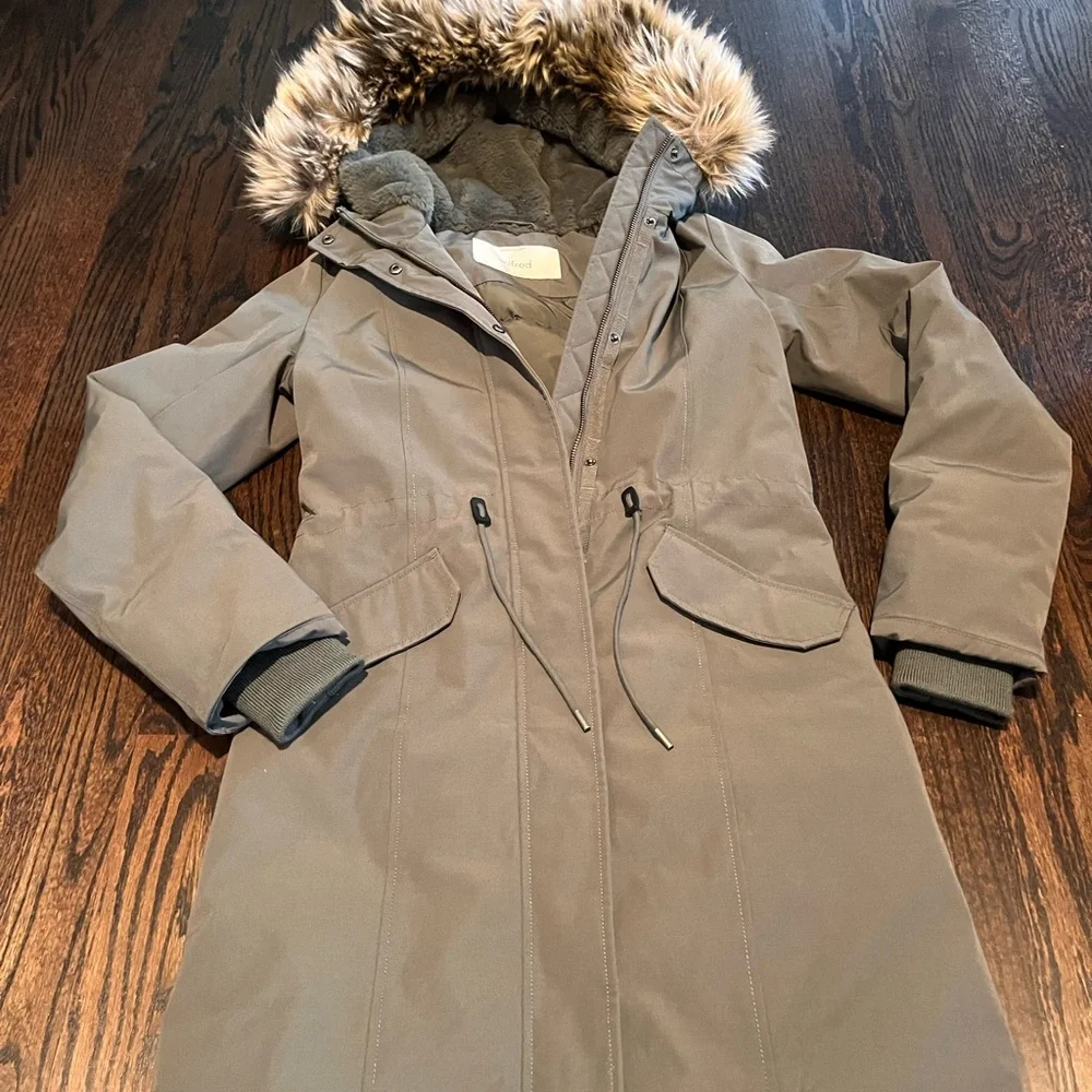 Aritizia Wilfred Northstar Premium Goose Down Parka - Picture 3 of 12